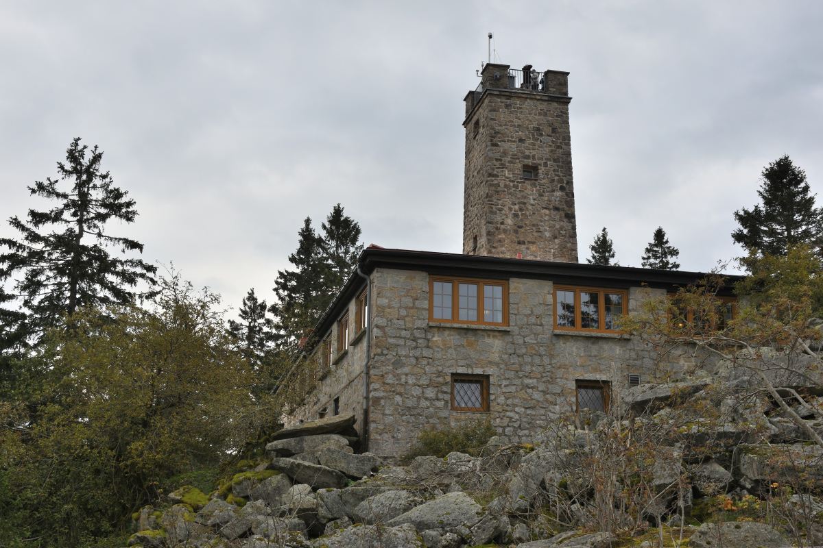 DSC_8914.JPG