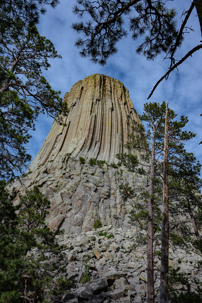 DSC_8914.jpg