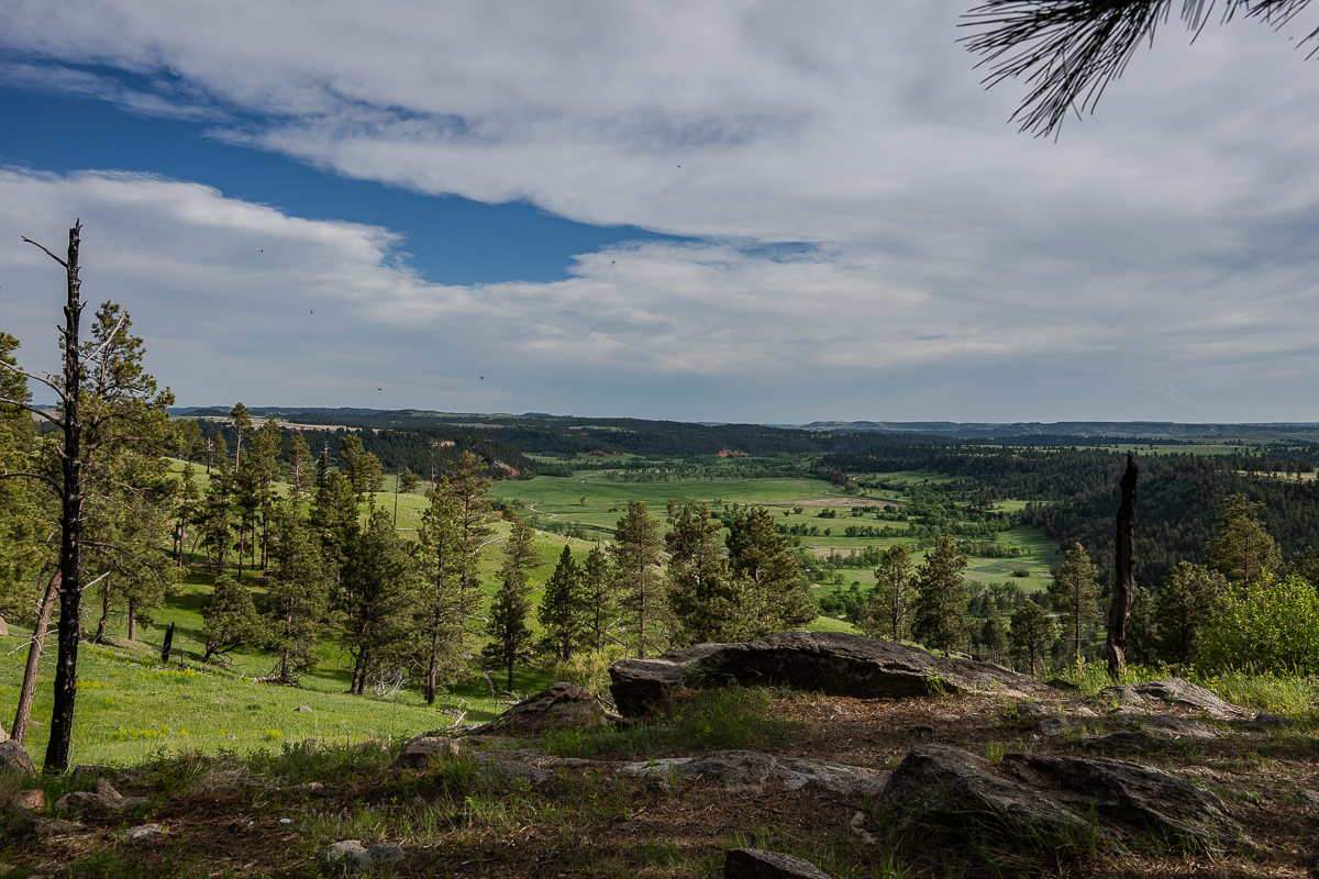 DSC_8916.jpg