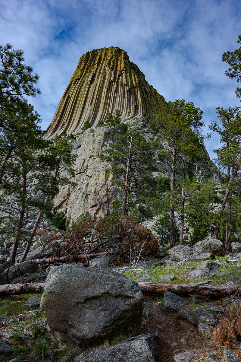 DSC_8918.jpg