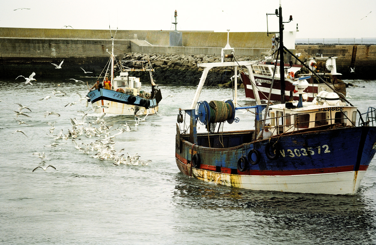 DSC_8960.jpg