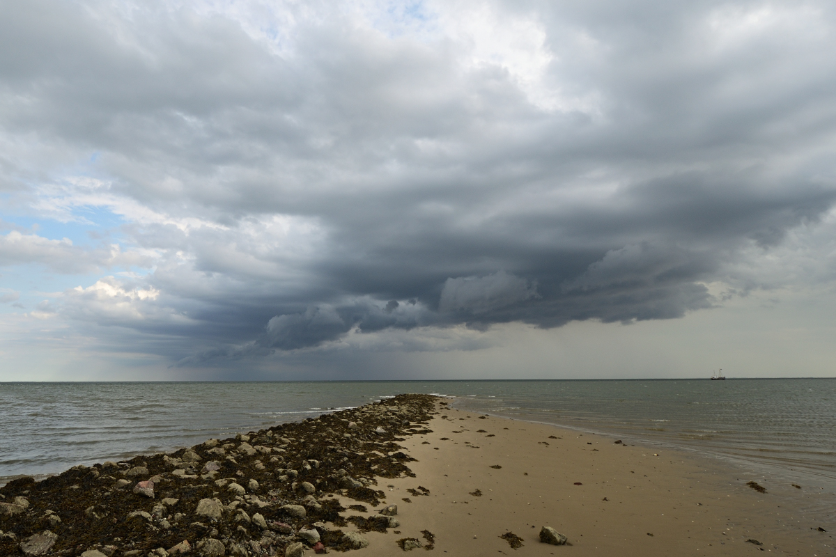 DSC_8972.JPG