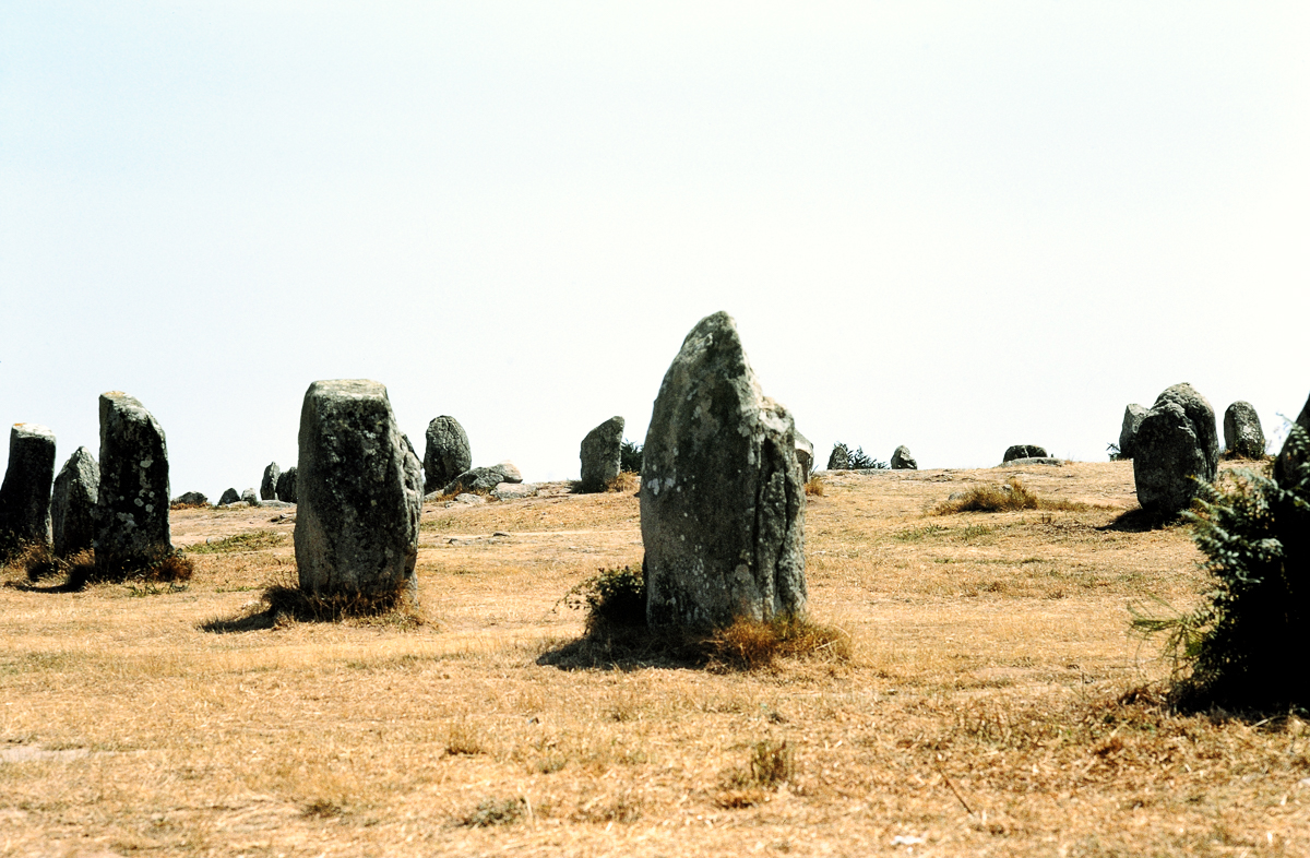 DSC_8983.jpg