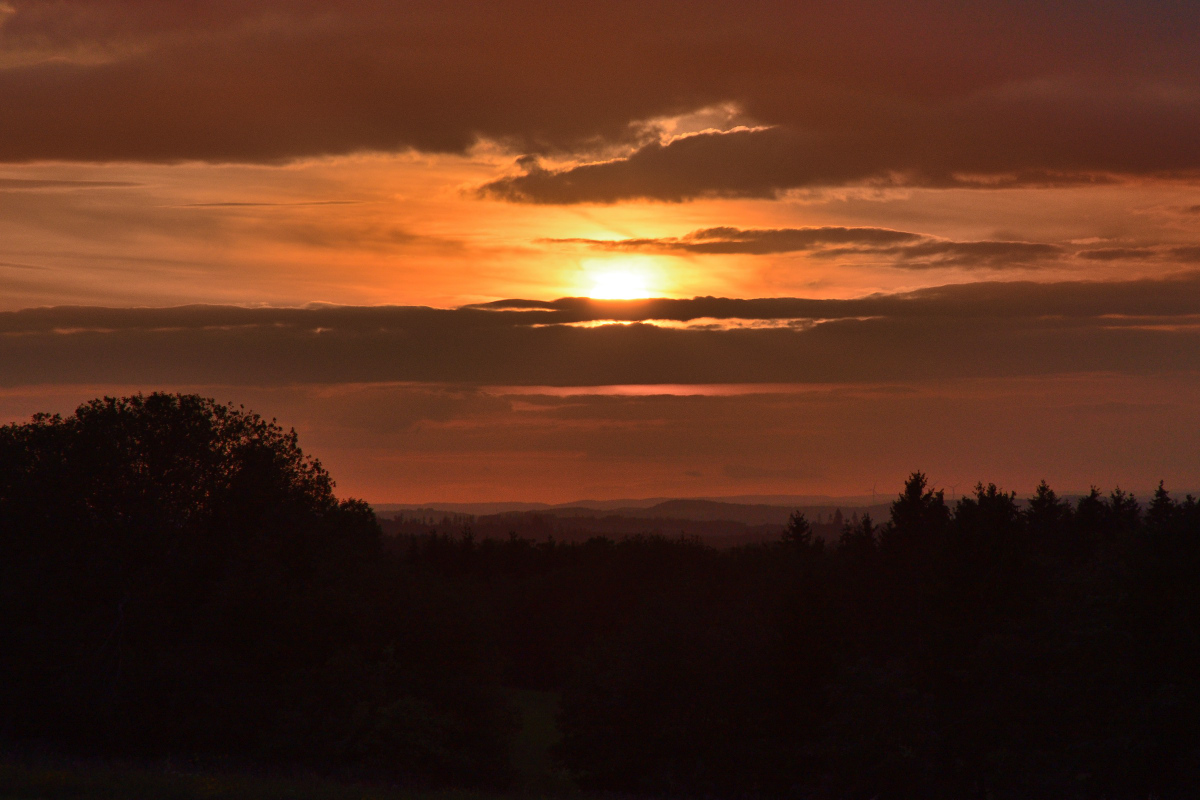 DSC_8997.JPG