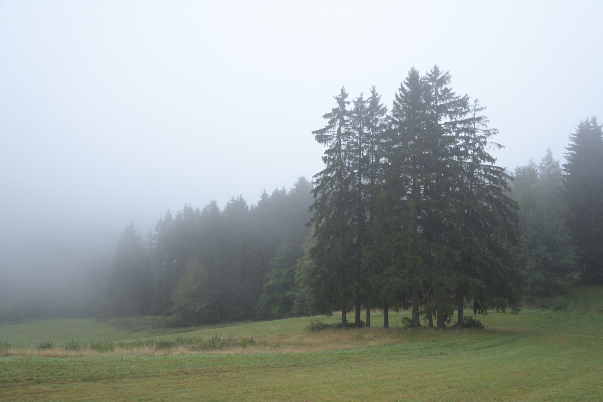DSC_9013.JPG
