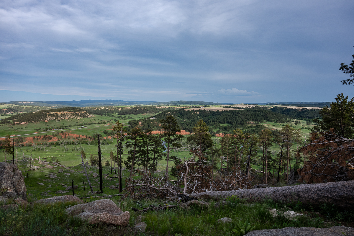DSC_9014.jpg