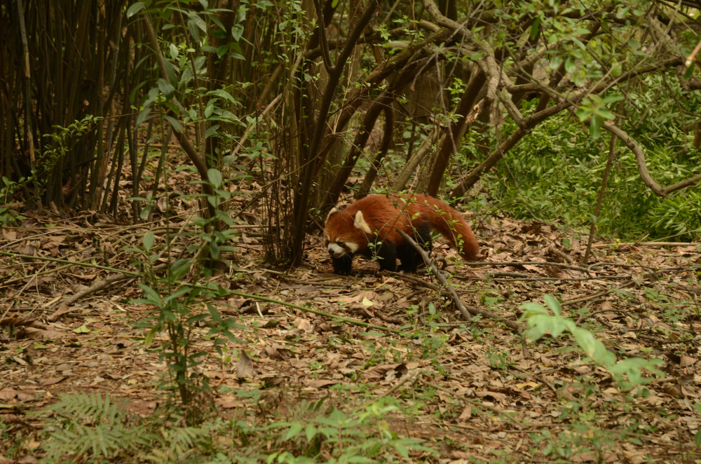 DSC_9026_01.JPG