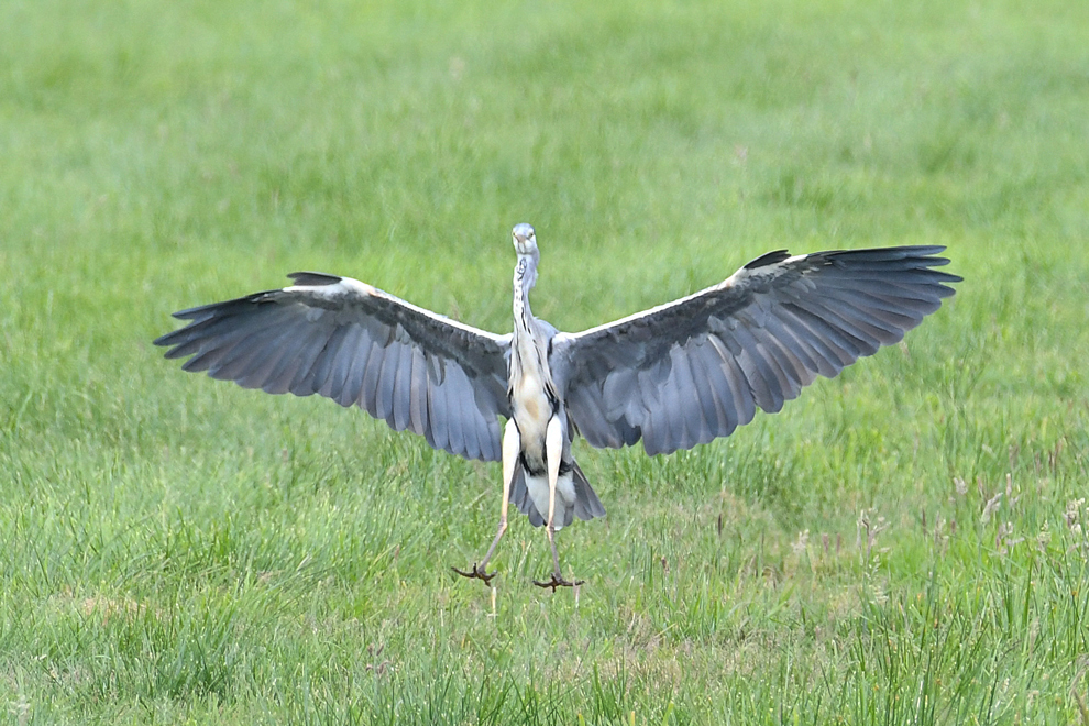DSC_9034.jpg