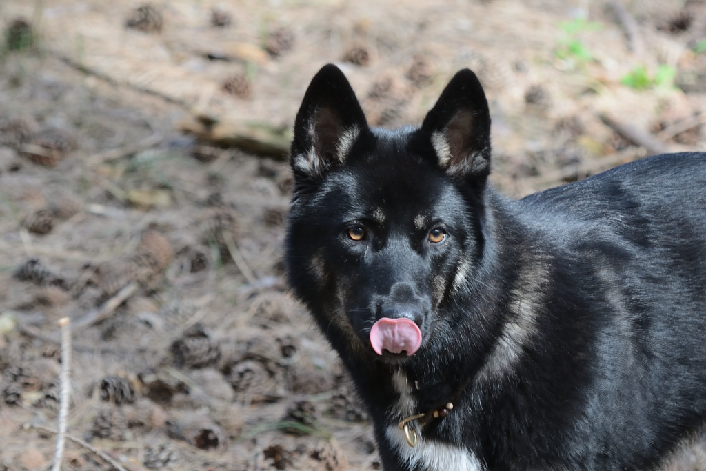 DSC_9040_00002.jpg