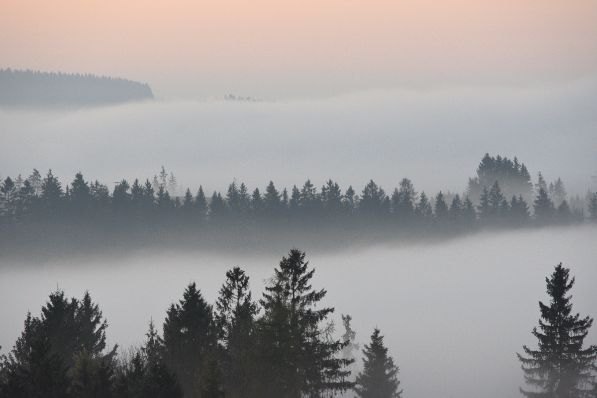 DSC_9041.JPG
