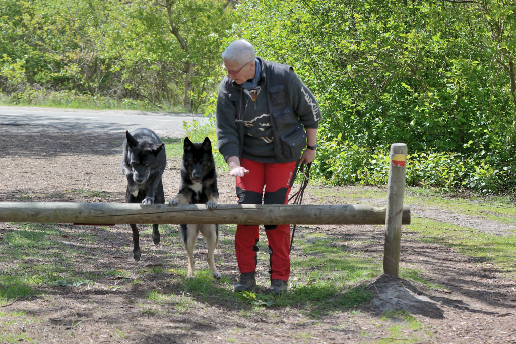 DSC_9048_00003.jpg