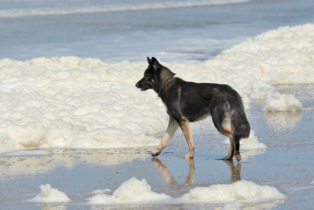 DSC_9054_00005.jpg