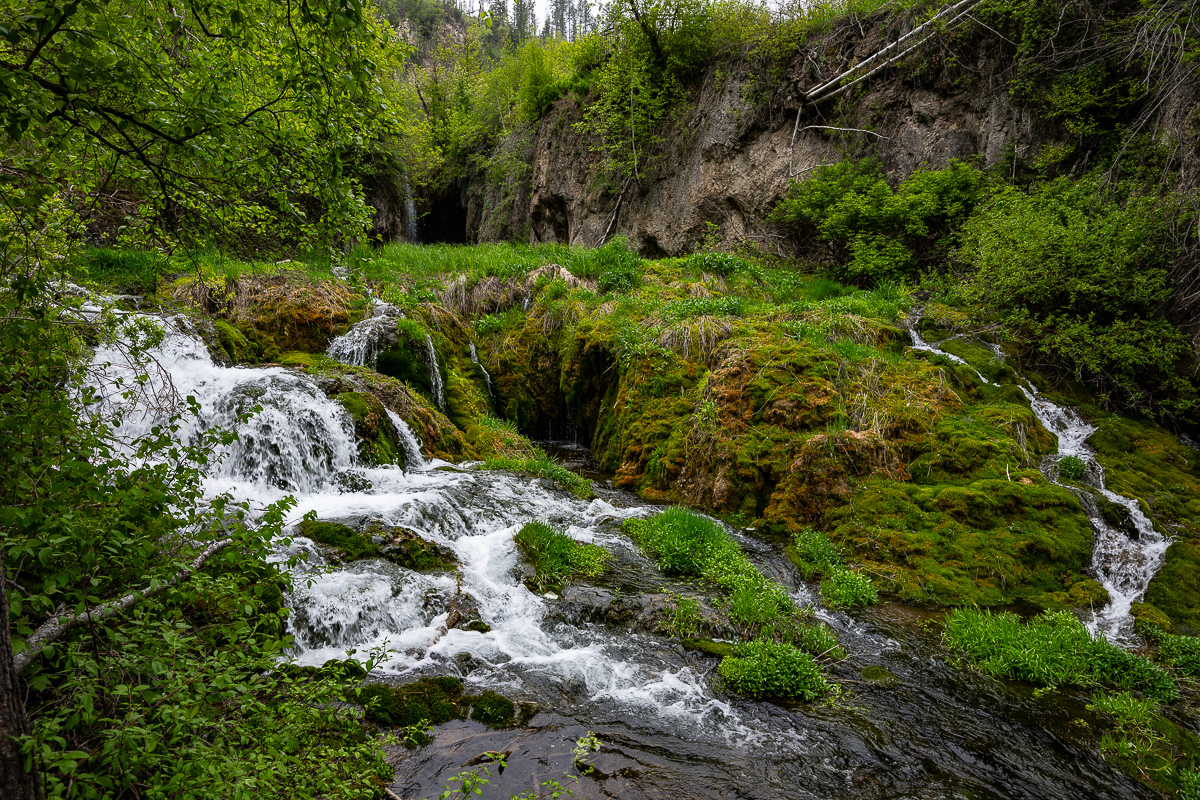 DSC_9093.jpg