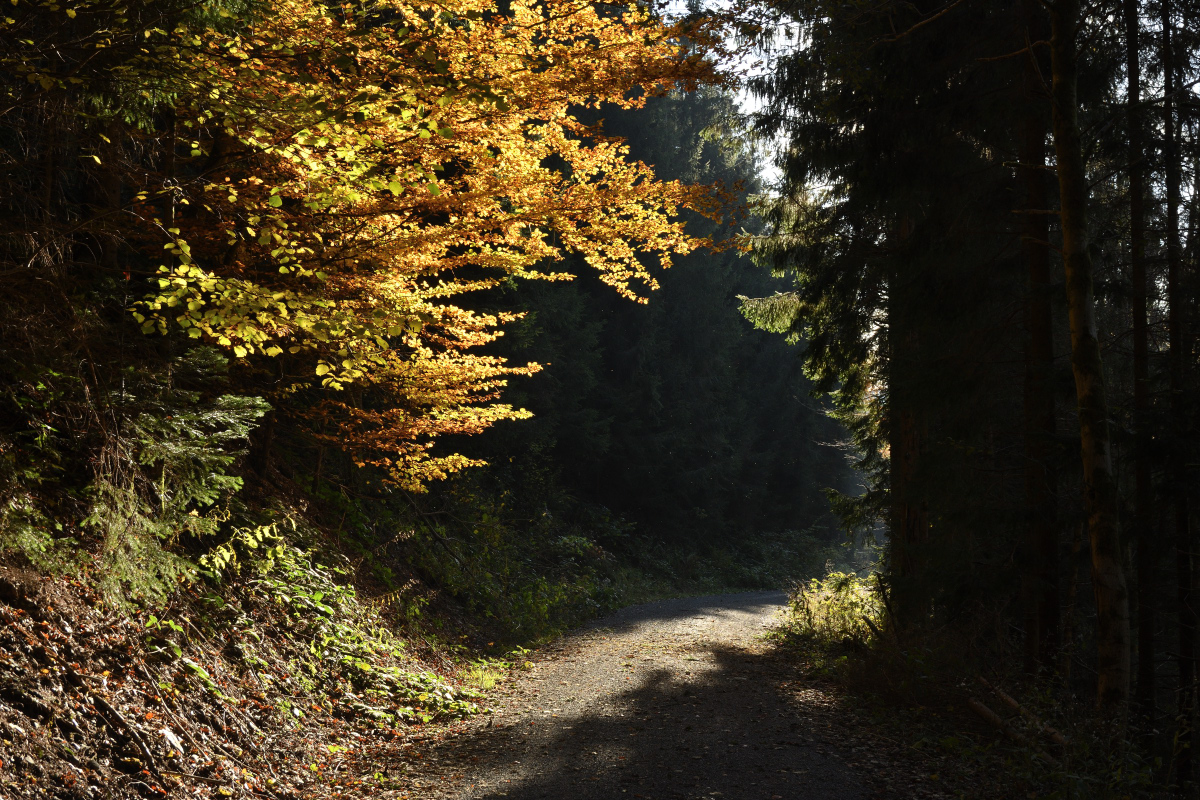 DSC_9102.JPG