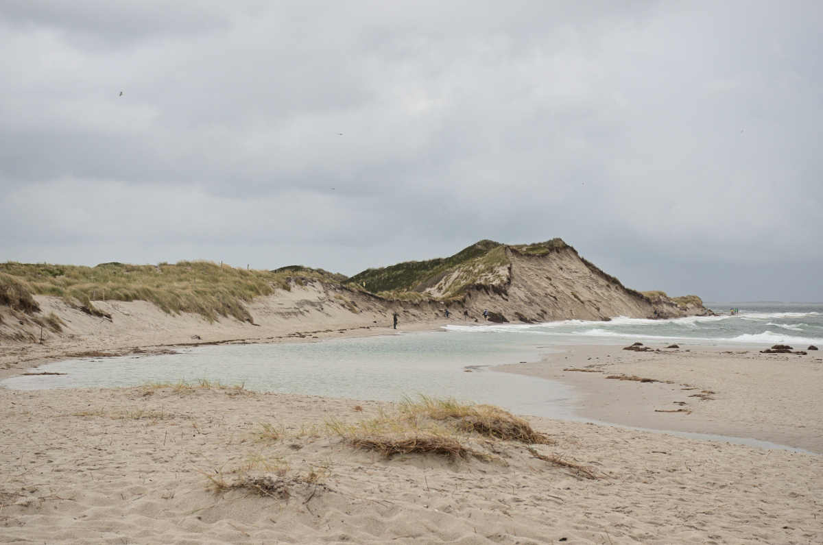 DSC_9105.JPG