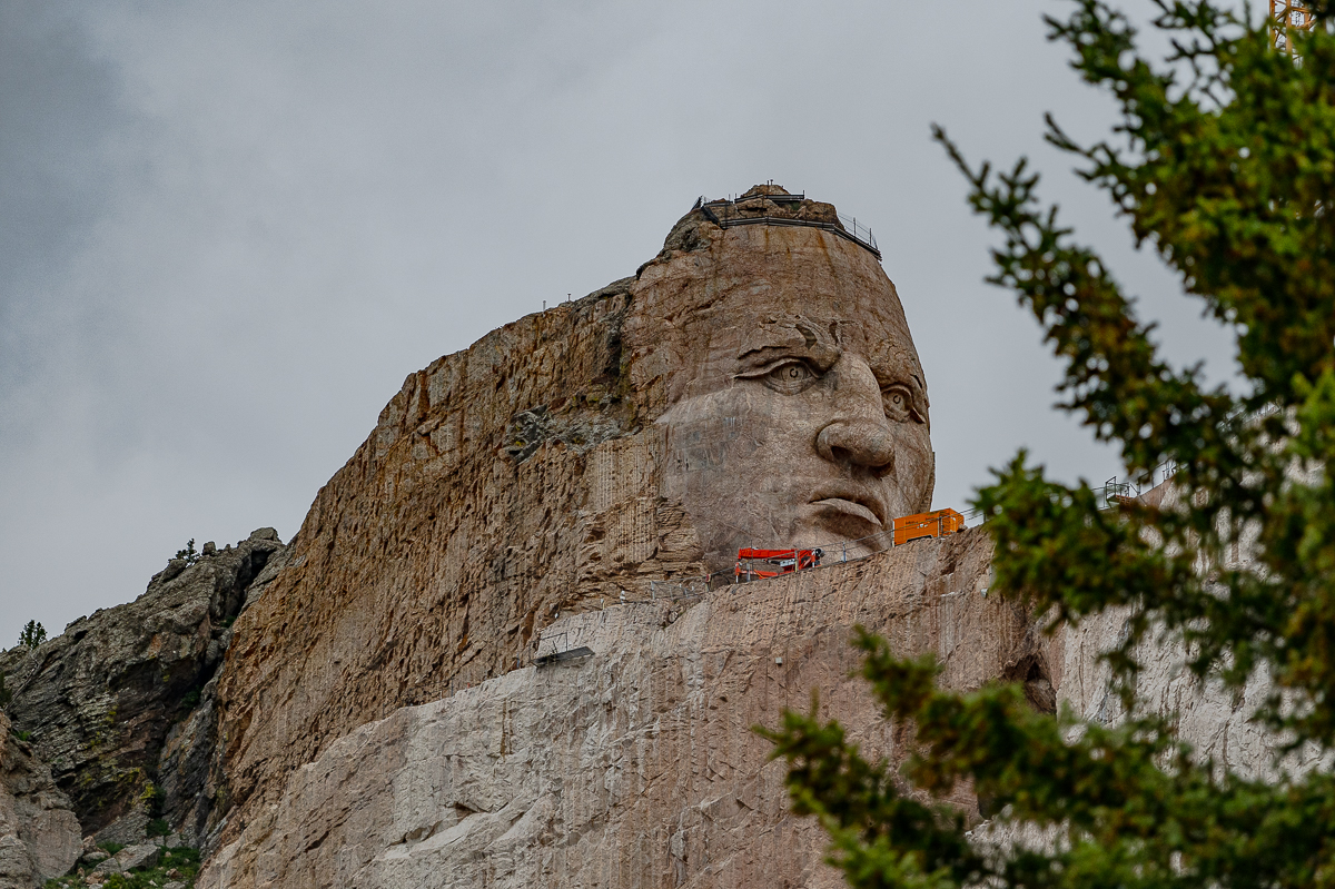 DSC_9113.jpg