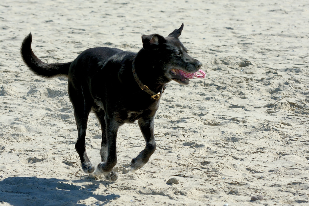 DSC_9126_00002.jpg