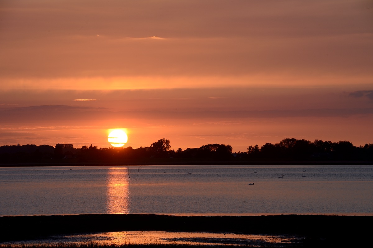 DSC_9177a.jpg