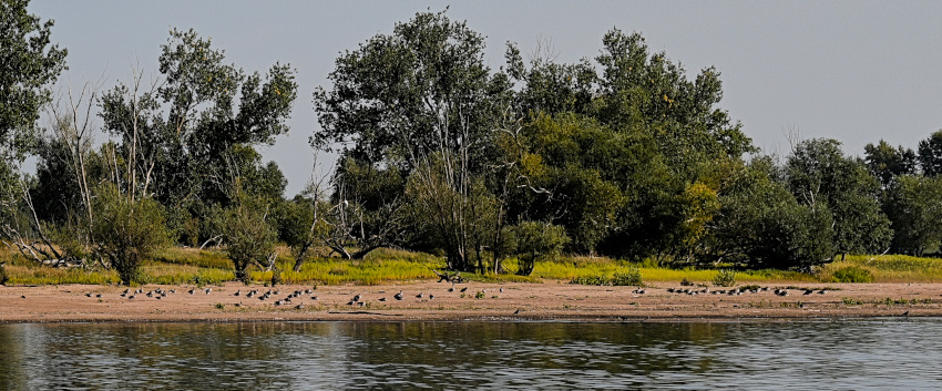 DSC_9180.jpg