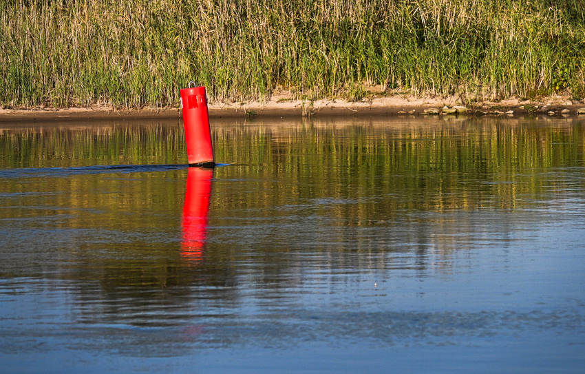 DSC_9190.jpg