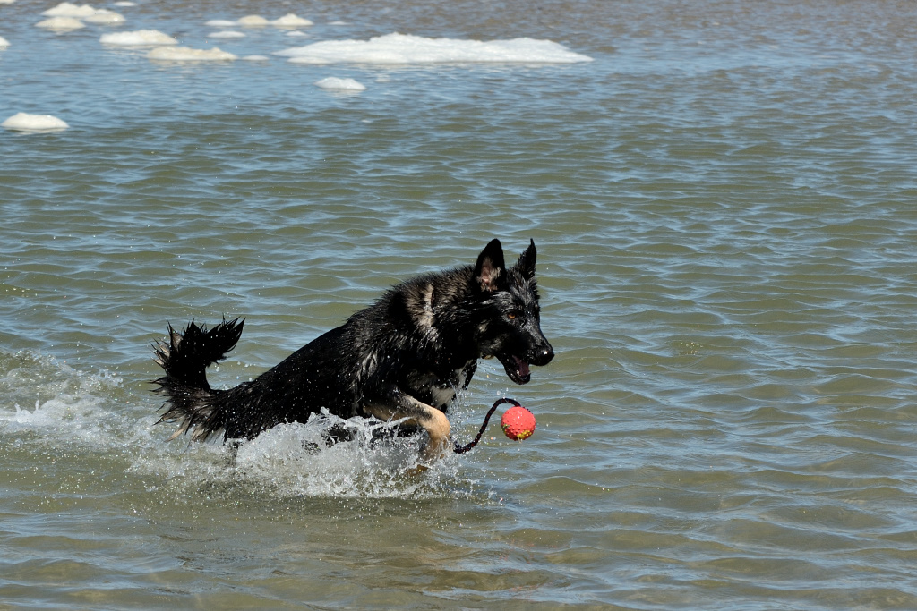 DSC_9208_00001.jpg