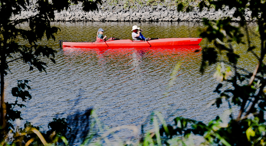 DSC_9212.jpg