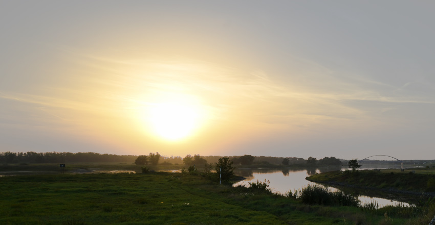 DSC_9220.jpg
