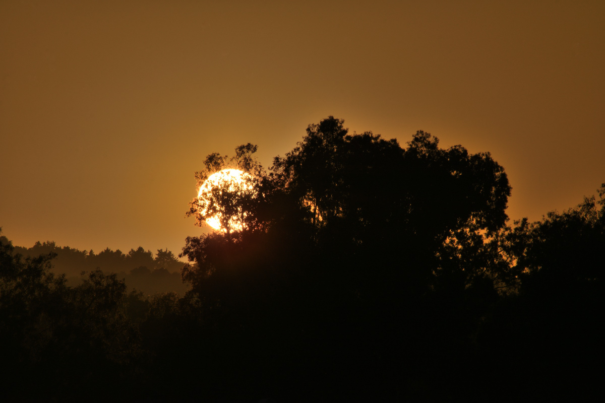 DSC_9242.JPG