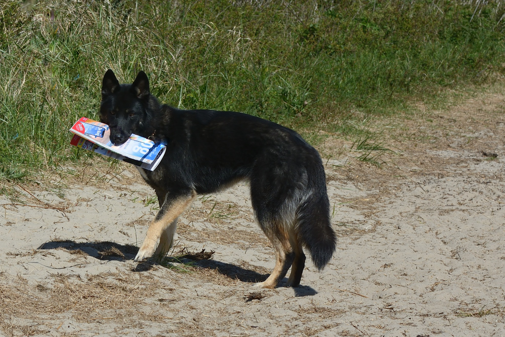 DSC_9255_00004.jpg