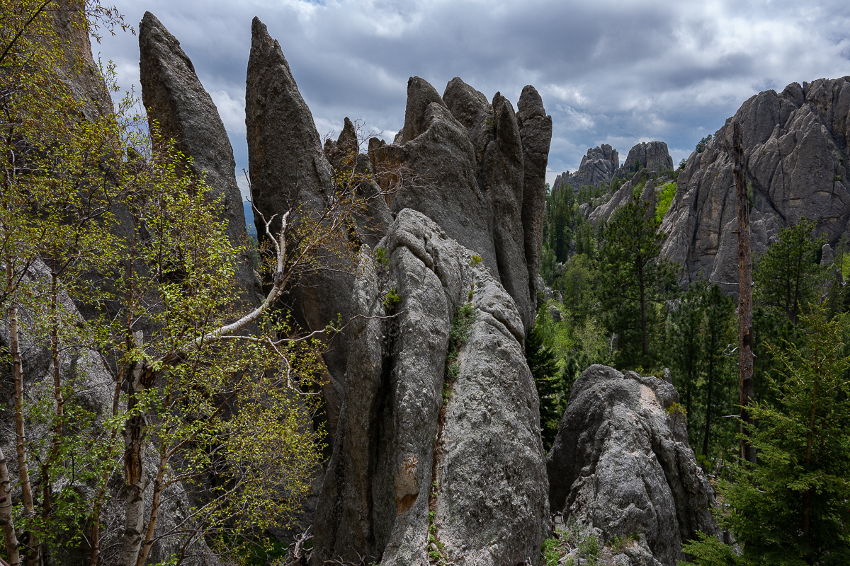 DSC_9274.jpg