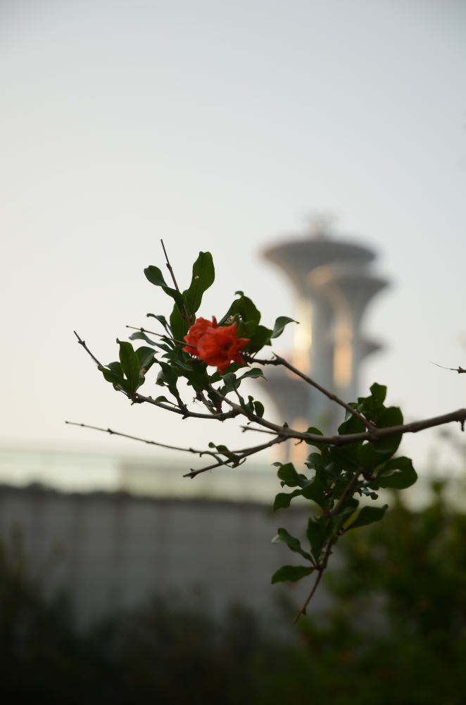 DSC_9282_01.JPG