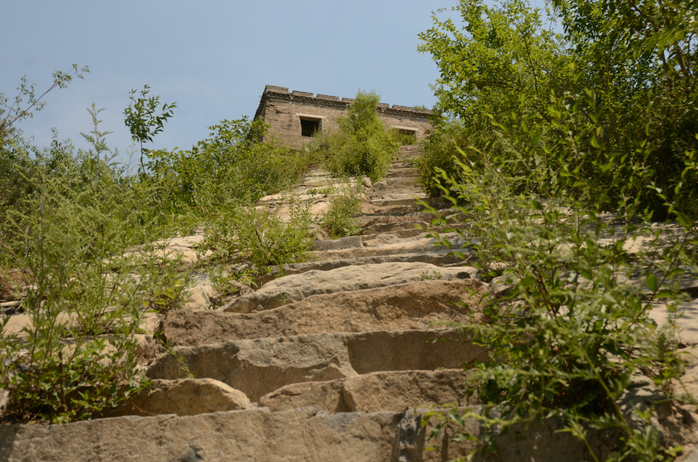 DSC_9302.JPG