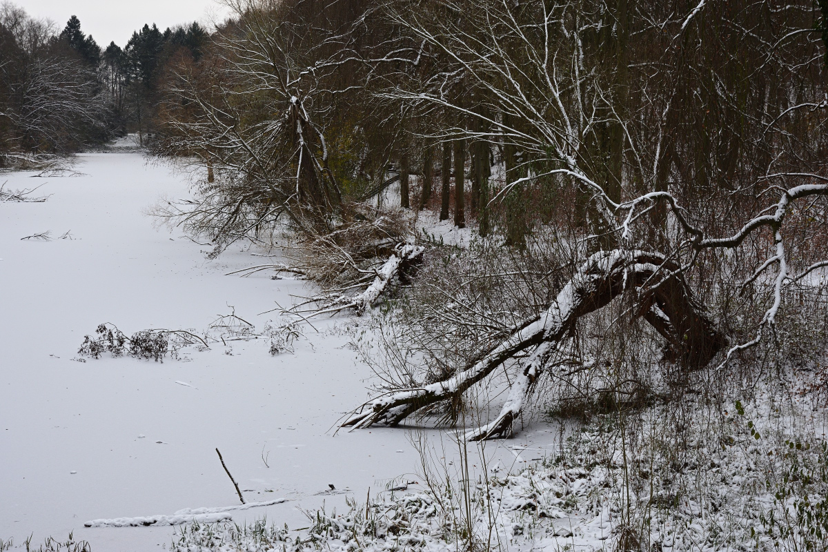 DSC_9316.JPG