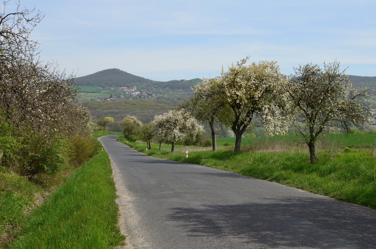DSC_9322_00001n.jpg