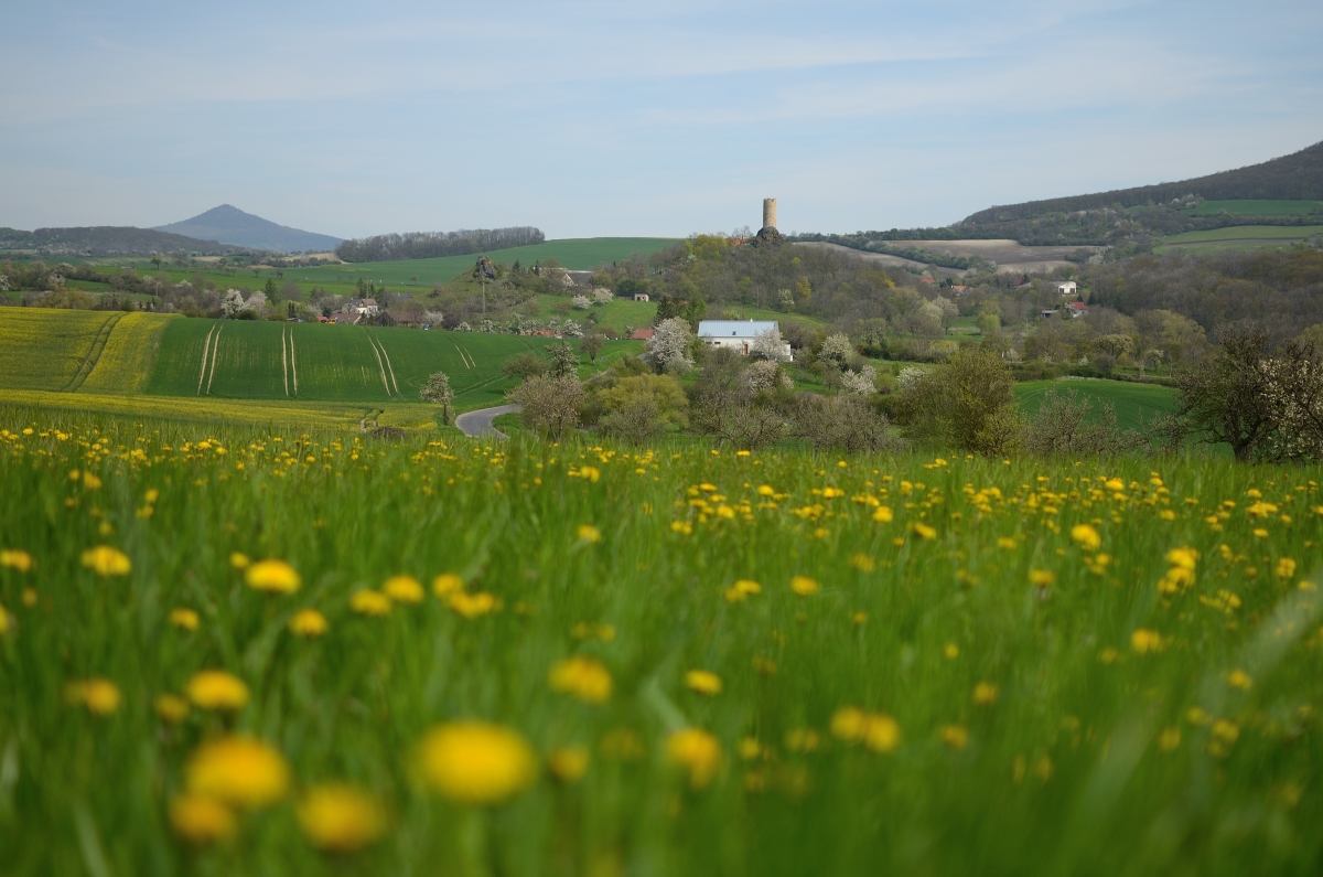 DSC_9330_00001_04 (2)n.jpg