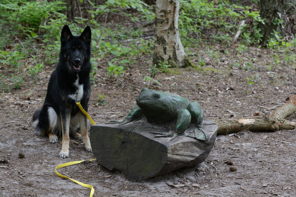 DSC_9360_00006.jpg