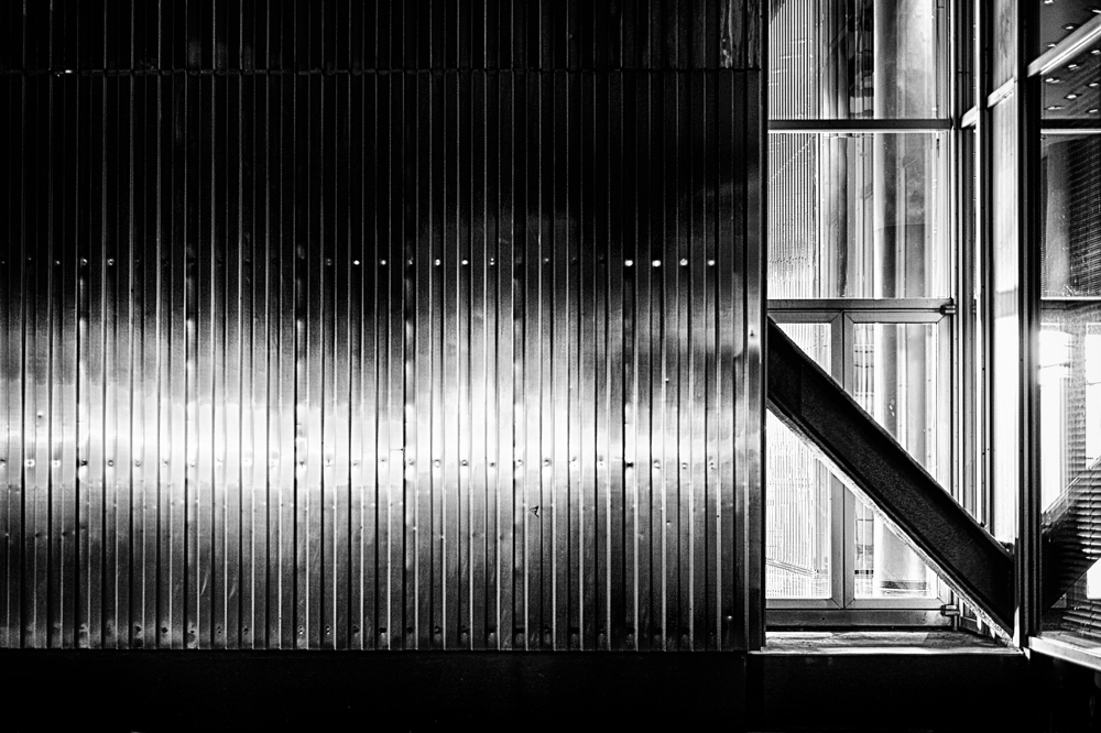 DSC_9367 web.jpg