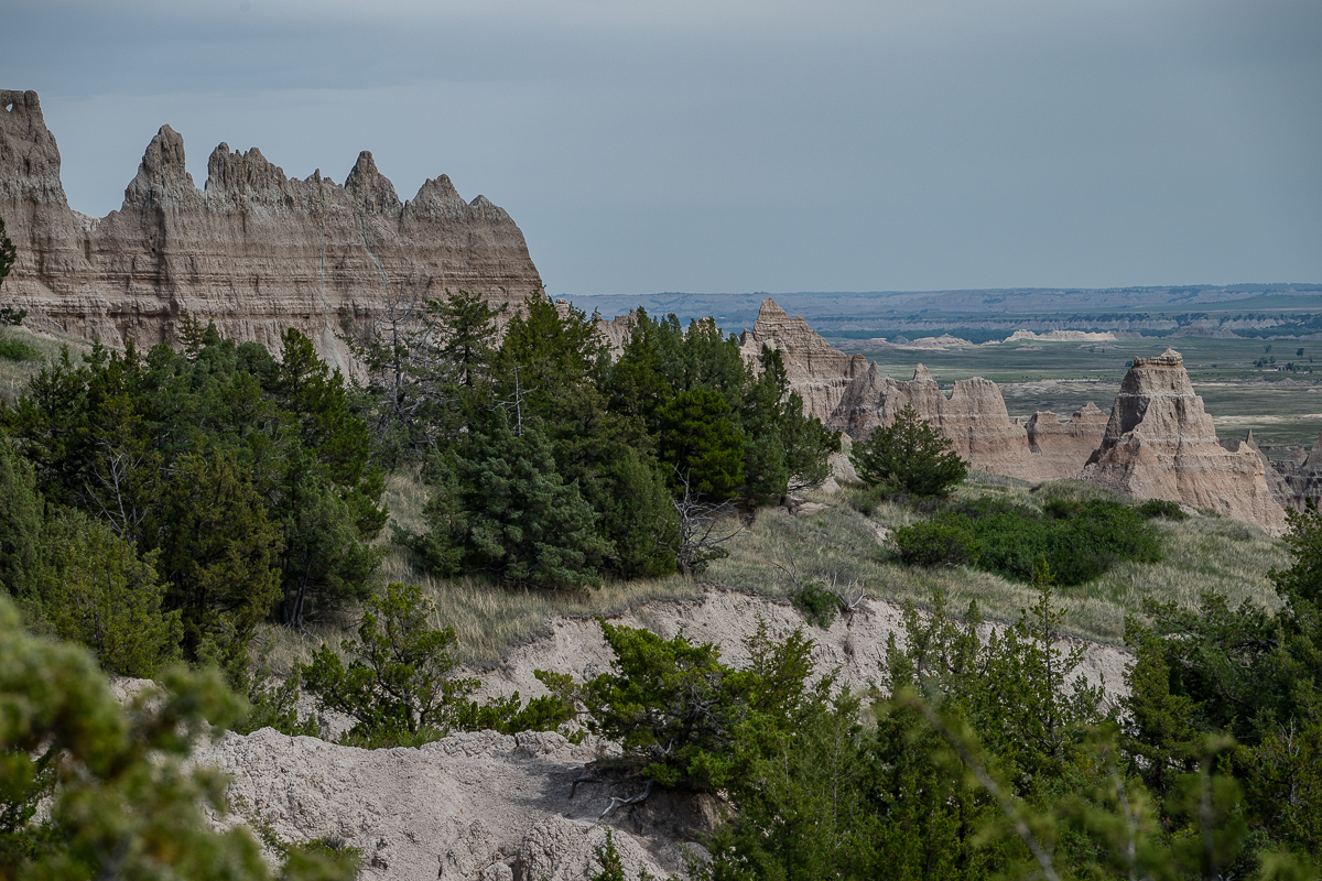 DSC_9409.jpg
