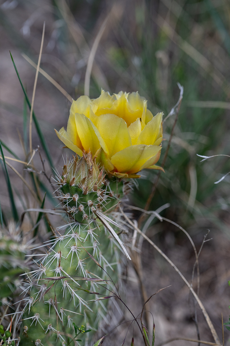 DSC_9413.jpg