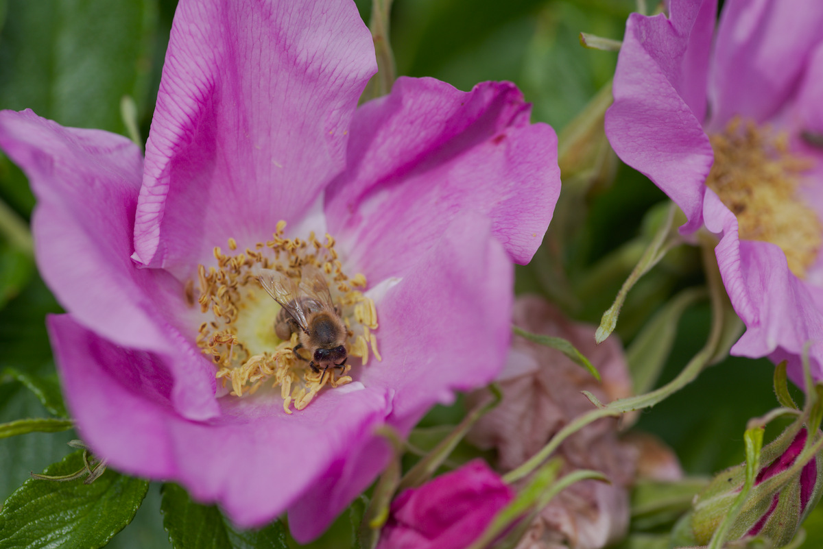 DSC_9425.jpg