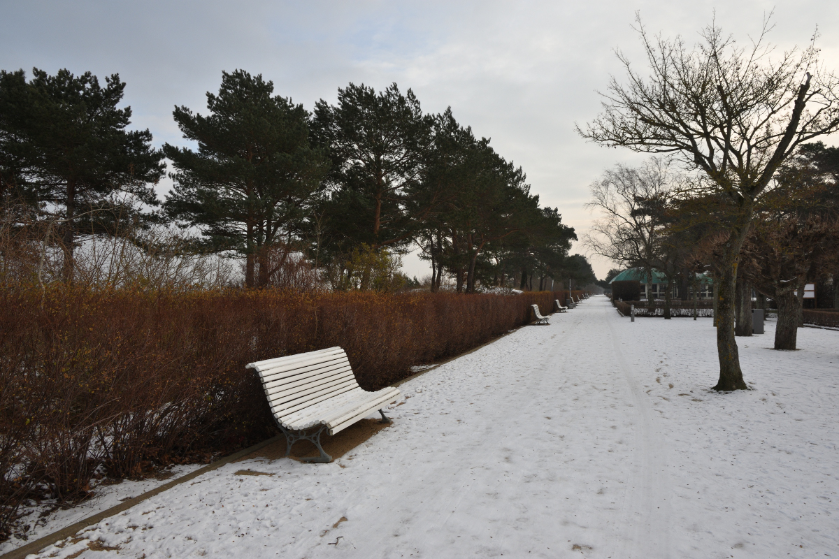 DSC_9435.JPG