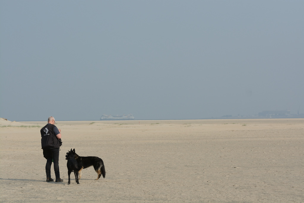 DSC_9441_00004.jpg