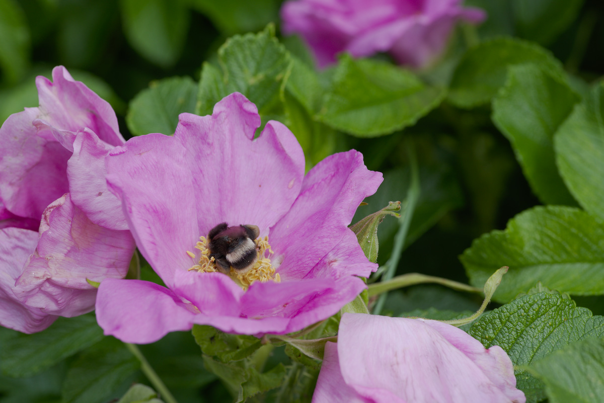 DSC_9449.jpg