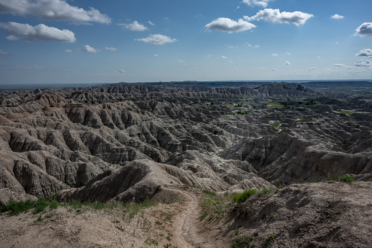 DSC_9453.jpg