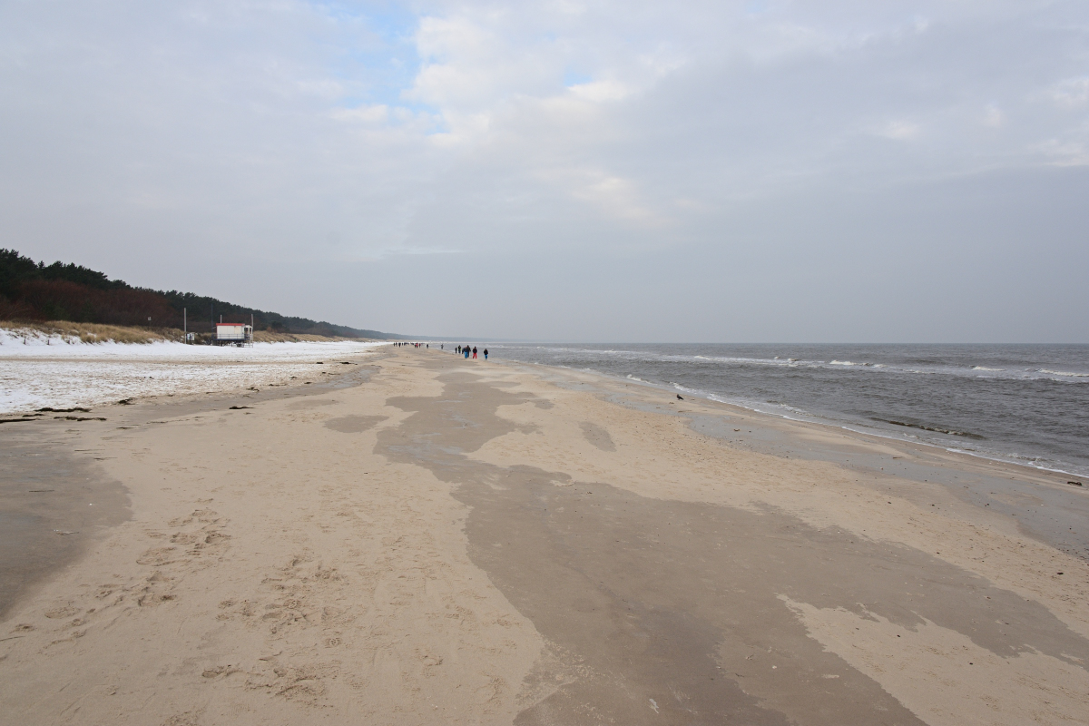 DSC_9454.JPG