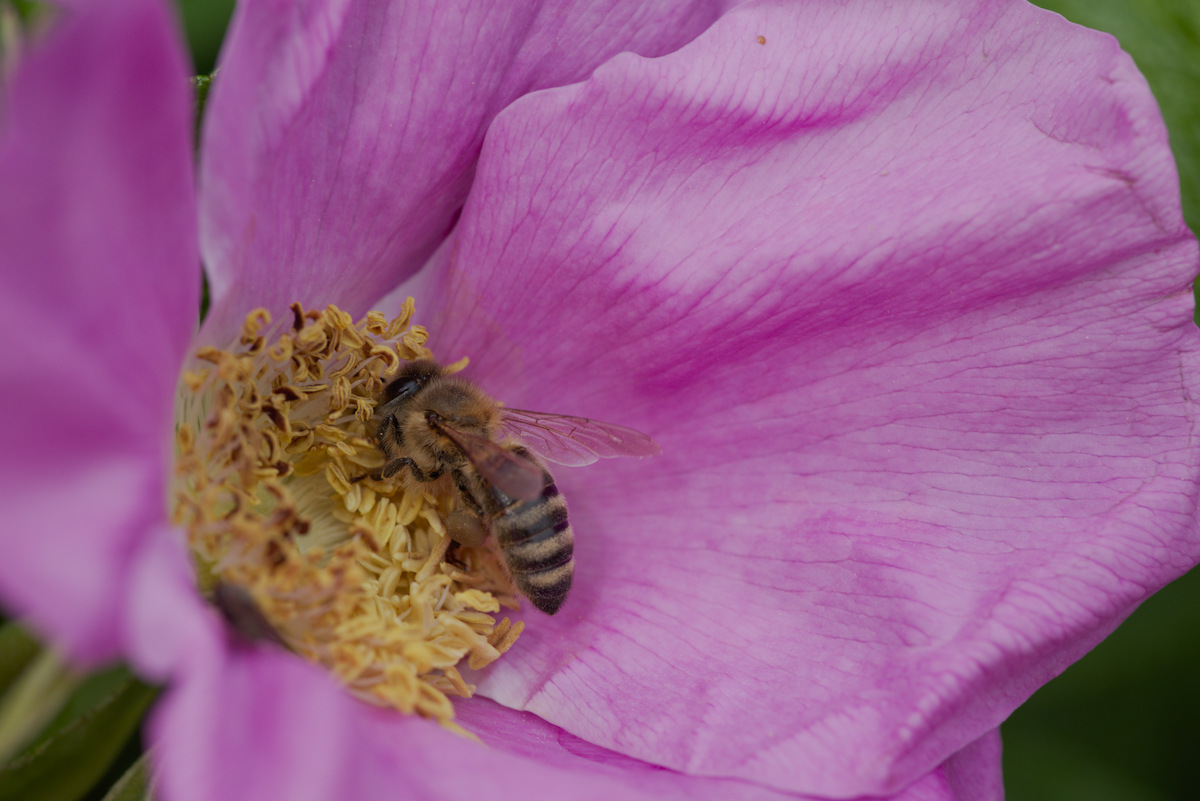 DSC_9459.jpg