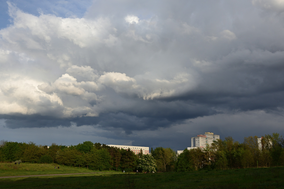 DSC_9461.JPG