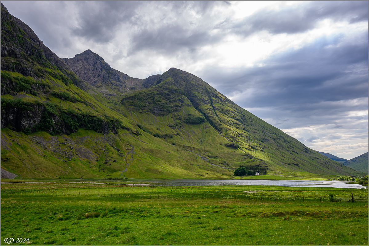 DSC_9462.jpg