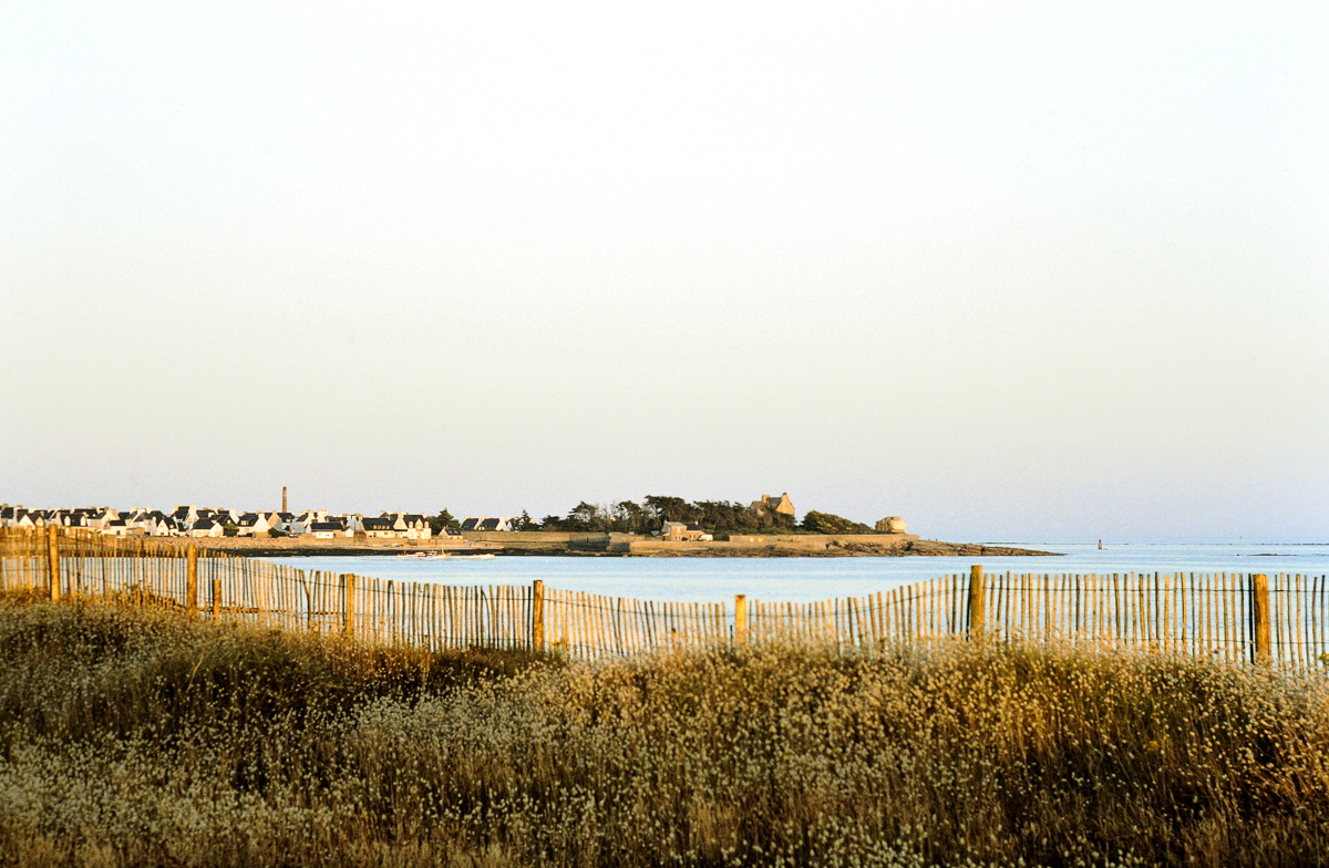 DSC_9487.jpg