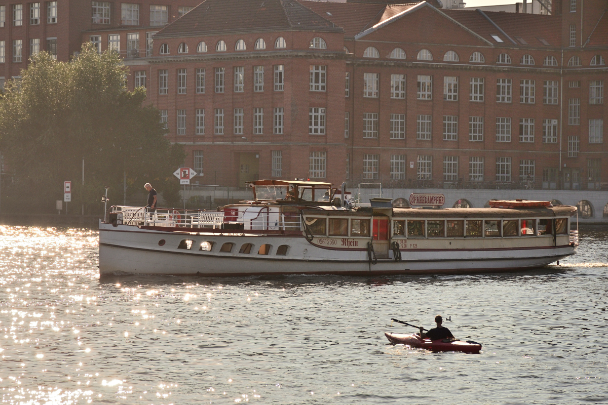 DSC_9520.JPG